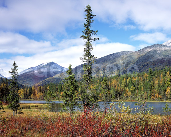 ����, ����, ����, ����