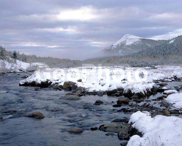 ����, ����, ����, ����