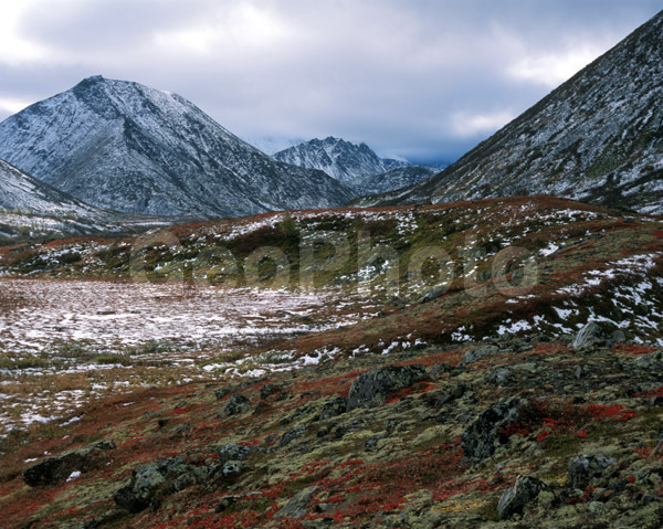 ����, ����, ����, ����