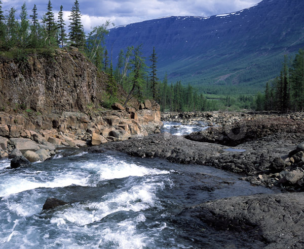 �������� ��������, �������