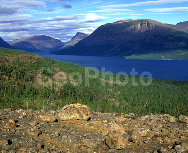 �������� ��������, �������