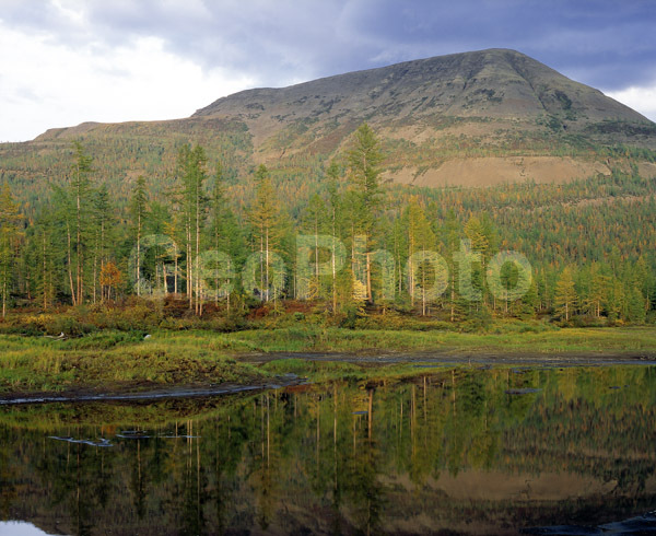 �������� ��������, �������