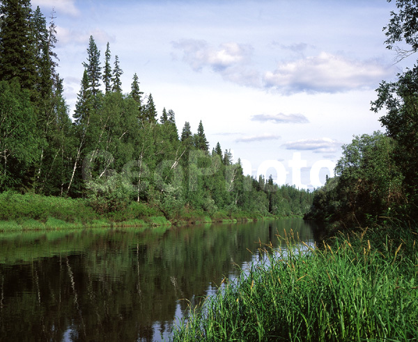 ����������� ��������, ������, ����, ����