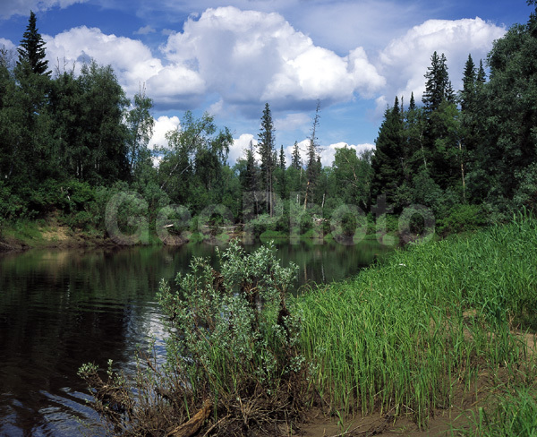 ����������� ��������, ������, ����, ����