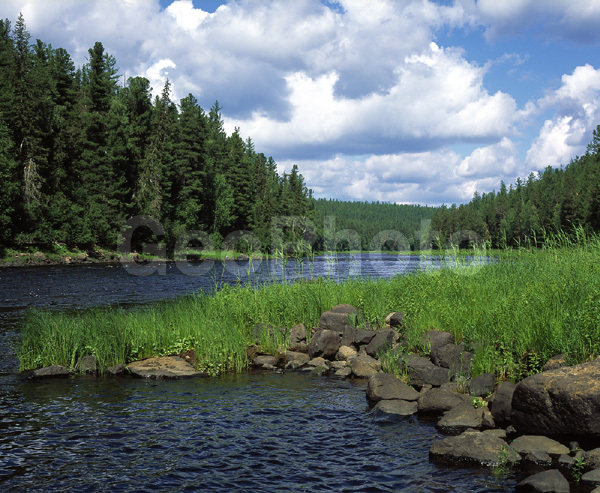 ����������� ��������, ������, ����, ����