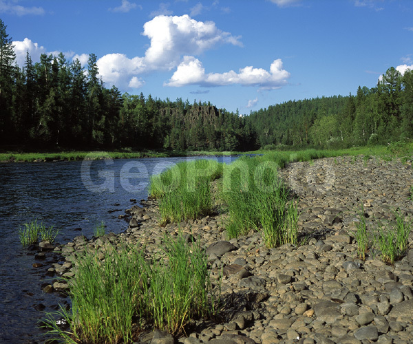 ����������� ��������, ������, ����, ����