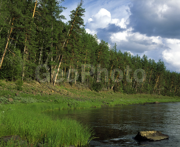 ����������� ��������, ������, ����, ����