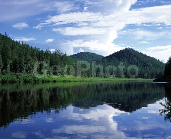 ����������� ��������, ������, ����, ����