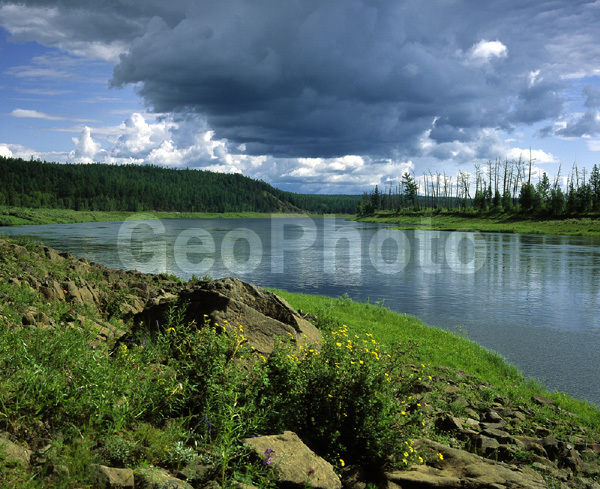 ����������� ��������, ������, ����, ����