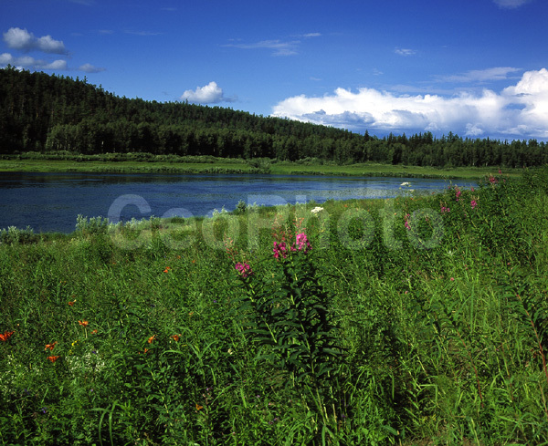 ����������� ��������, ������, ����, ����