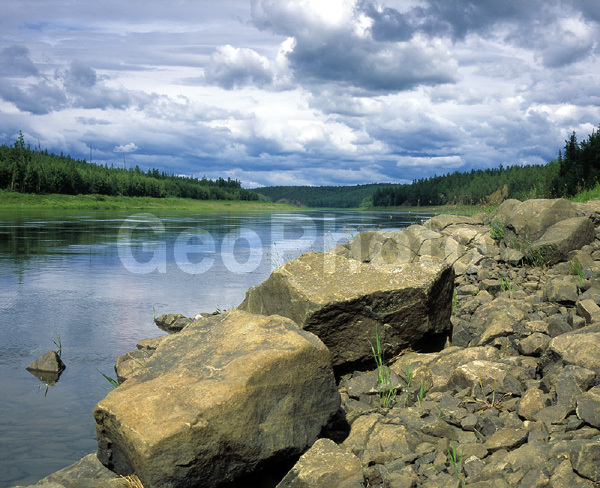 ����������� ��������, ������, ����, ����