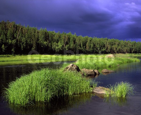 ����������� ��������, ������, ����, ����