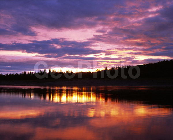 ����������� ��������, ������, ����, ����