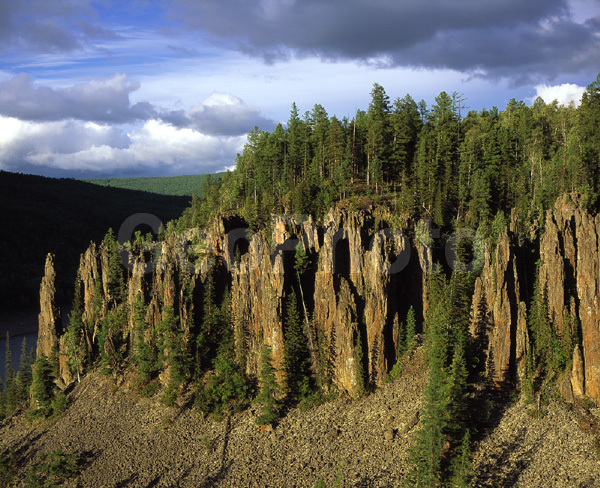 ����������� ��������, ������, �������� ���������, ��������, ������, ����, ����