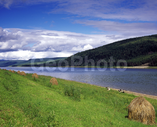 ����������� ��������, ������, ����, ����