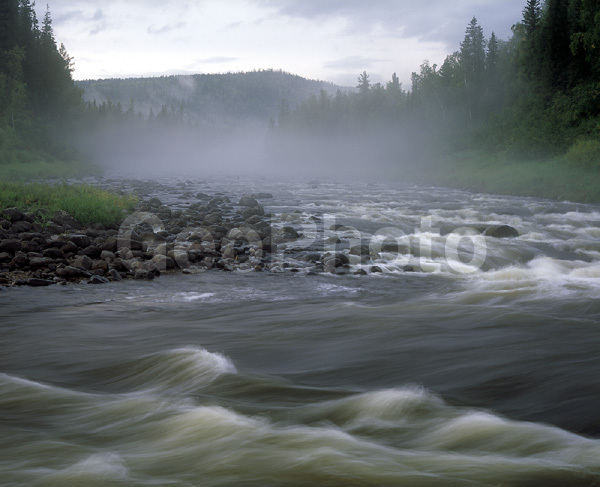 ����������� ��������, ������, ����, ����