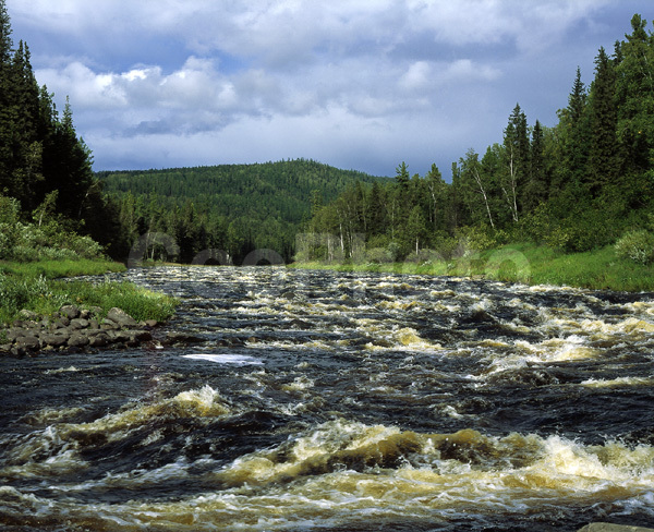 ����������� ��������, ������, ����, ����