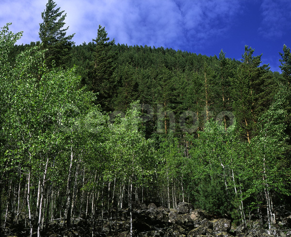 ������, ����������, ������, �������, �����