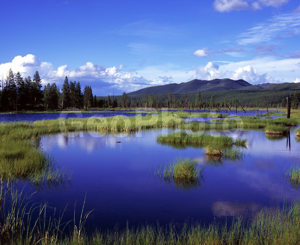 ������, ������, ������, ����