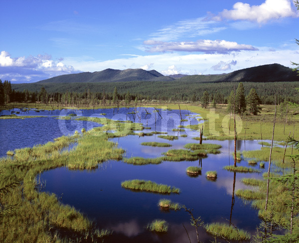 ������, ������, ������, ����