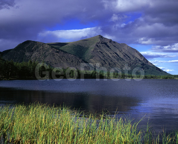 ������, ������, ������, ����