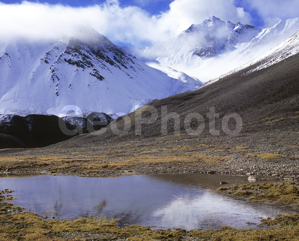 ������-�����, ������, ������