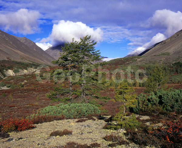 ������� ������, �������� �����, ����������� ����, ����, ���� �����