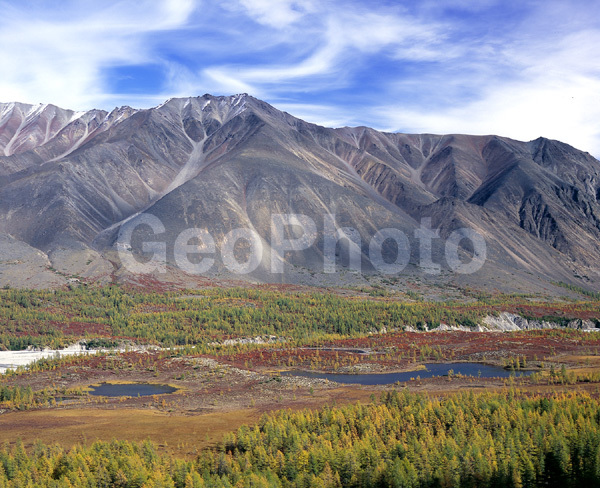 ������� ������, �������� �����, ����������� ����, ����, ���� �����