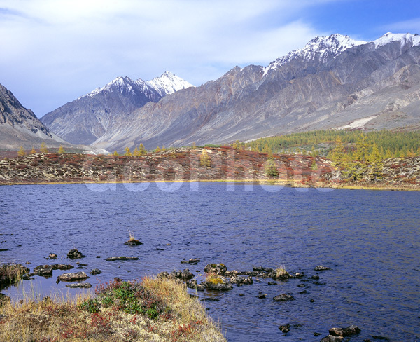 ������� ������, �������� �����, ����������� ����, ����, ���� �����