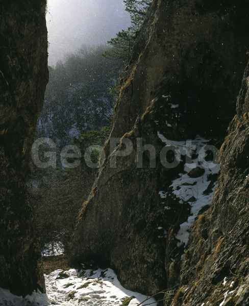 ������, �������� ������, �������, ������, �����