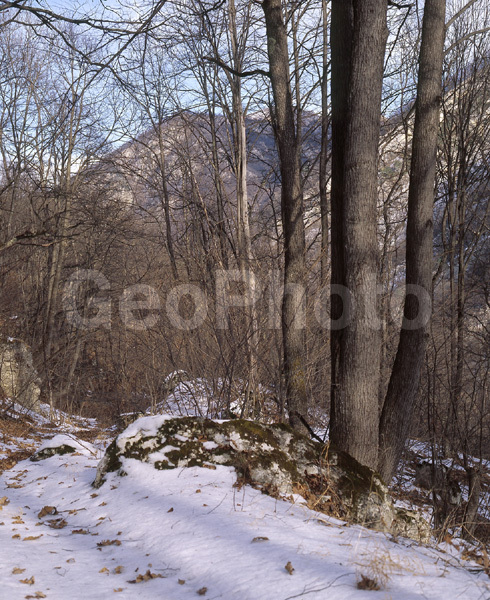 ������, �������� ������, �������, ������, �����