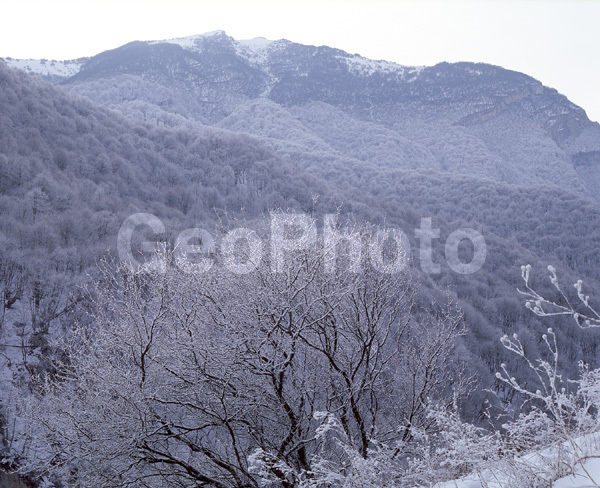 ���������, �������� ������, ������, ����