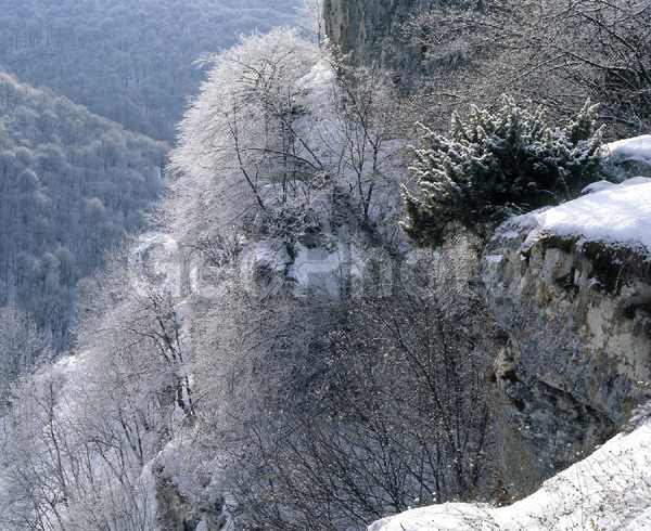 ���������, �������� ������, ������, ����