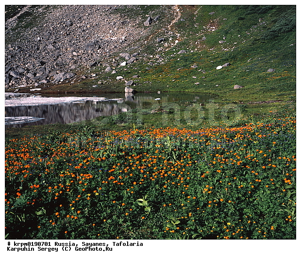 ������, ����, �����, ������, ���������, ���������, �����, ������, �����, �����