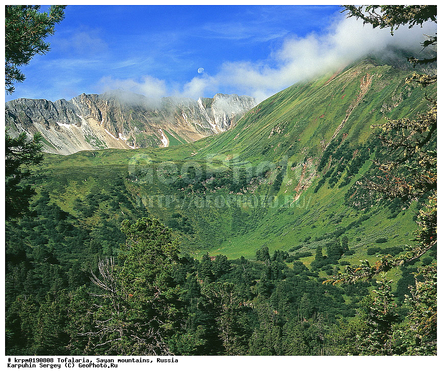 ��������� �����, ���������, ����, �������, ������ ���� ������� ����, ��������, ���, ����, ������, ������, �����