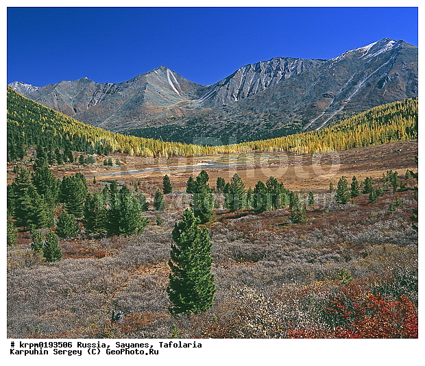 ��������� �����, ���������, ����, ����, �������, �����, ������ ���� ������, ����, ���������, ��������, ���, �����������, ����, ������, ����, ������