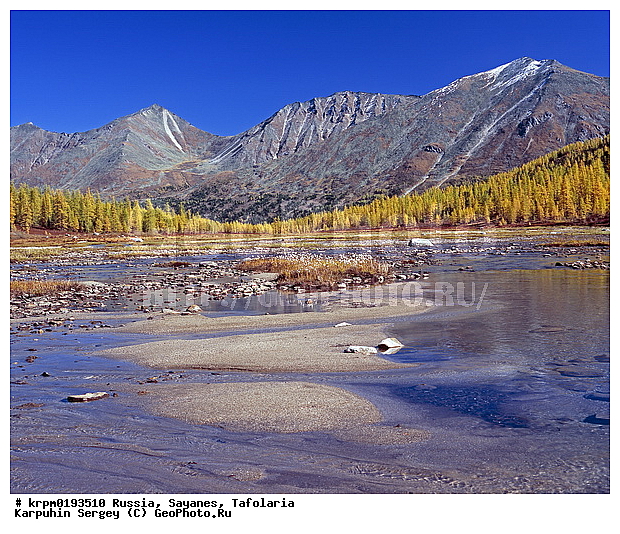 ��������� �����, ���������, ����, ����, �������, �����, ��������, ���, ����, ������, ������, �����, ����, ���� ������