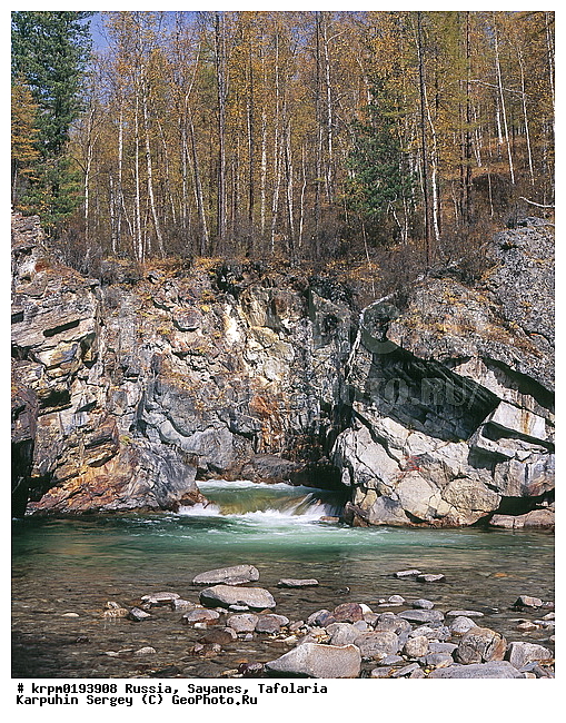 ��������� �����, ���������, �����, ����, ����, �������, ������, ��������, ���, ����, �����, ������, ����, ���� ������, �����