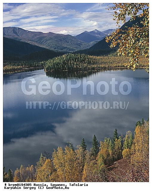 ��������� �����, ���������, ����, ����, �������, ��������, ���, ����, �����, ����� ������� ���������, �����, ������