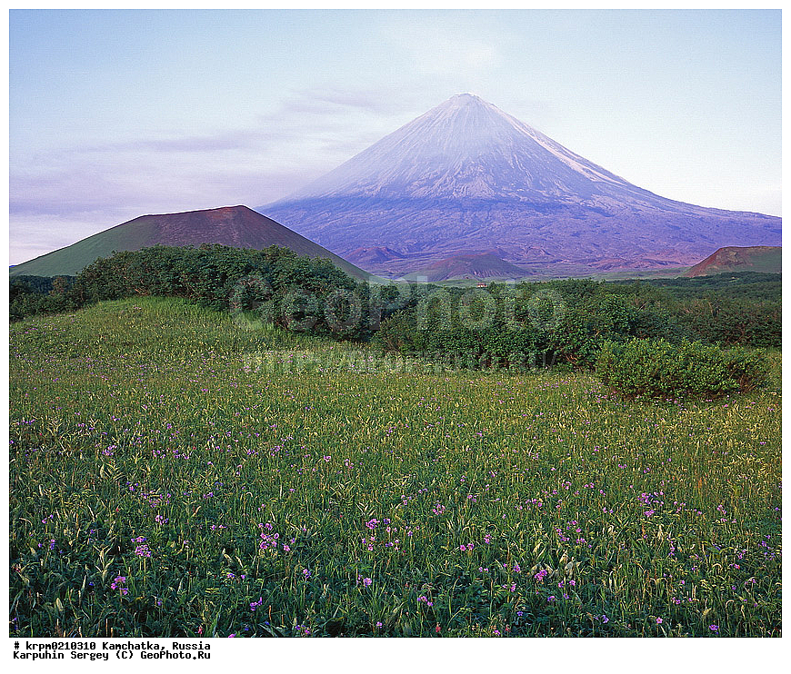 ��������, ������, ����, ����