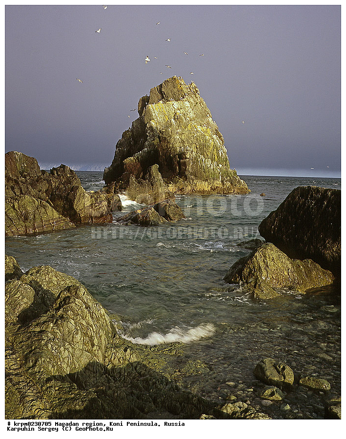 ������� ������, ����� ����, ����������� �������, �������� ����, ������, �������� ����, �����, ��������� �����, ��������� ������, ����, �����, ��������, ����, ���, ��� �����, ������, ���������, ��������� ��������� ����, ���������� ����, �����, �����, �����