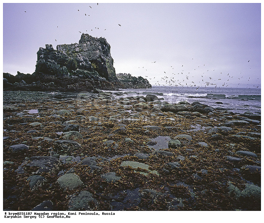 ������� ������, ����� ����, ����������� �������, �������� ����, ������, �����, ��������� �����, ��������� ������, ���������, �����, ��������, ����, ��� �����, �����, ��������, ������, ���������, ��������� ��������� ����, ���������� ����, �����, ������ �����, �����