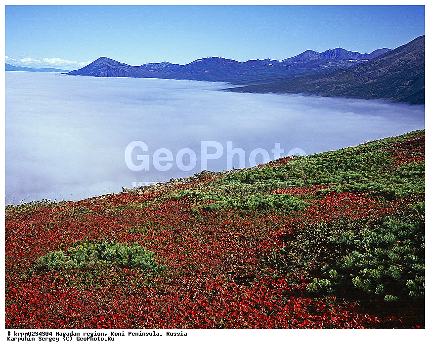 ������� ������, ����� ����, ����������� �������, �������� ����, ������, �����, ��������� �����, ��������� ������, ��� �� ������, ����, ������, �������, ��������, ��� �����, ����������, �����, ������, ���������, ��������� ��������� ����, ���������� ����, �����, �����