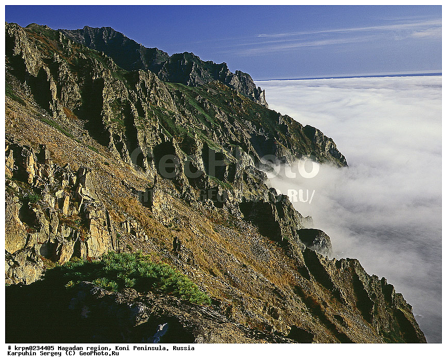 ������� ������, ����� ����, ����������� �������, �������� ����, ������, ��� �� ���-������, ����, ��������, ��� �����, ����������, ������, ���������, ��������� ��������� ����, ���������� ����, �����, �����