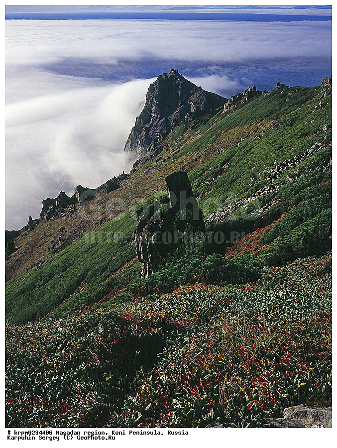 ������� ������, ����� ����, ����������� �������, �������� ����, ������, ��� �� ������ ���������, ����, ��������, ��� �����, ����������, ������, ���������, ��������� ��������� ����, ���������� ����, �����, �����