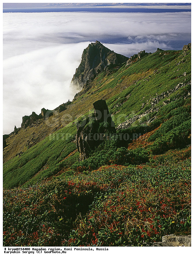 ������� ������, ����� ����, ����������� �������, �������� ����, ������, �����, ��������� �����, ��������� ������, ��� �� ������ ���������, ����, ��������, ��� �����, ����������, ������, ���������, ��������� ��������� ����, ���������� ����, �����, �����