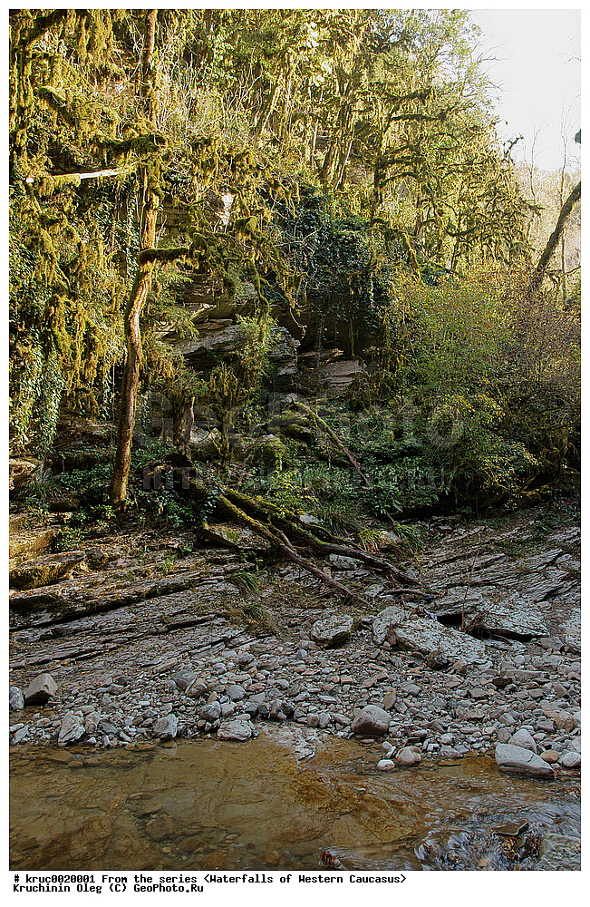 ������, ���� �����, �������� ������, ������������ ��������� �������, ���������� �����, ����, �����, ������������� ����, ������, ���������