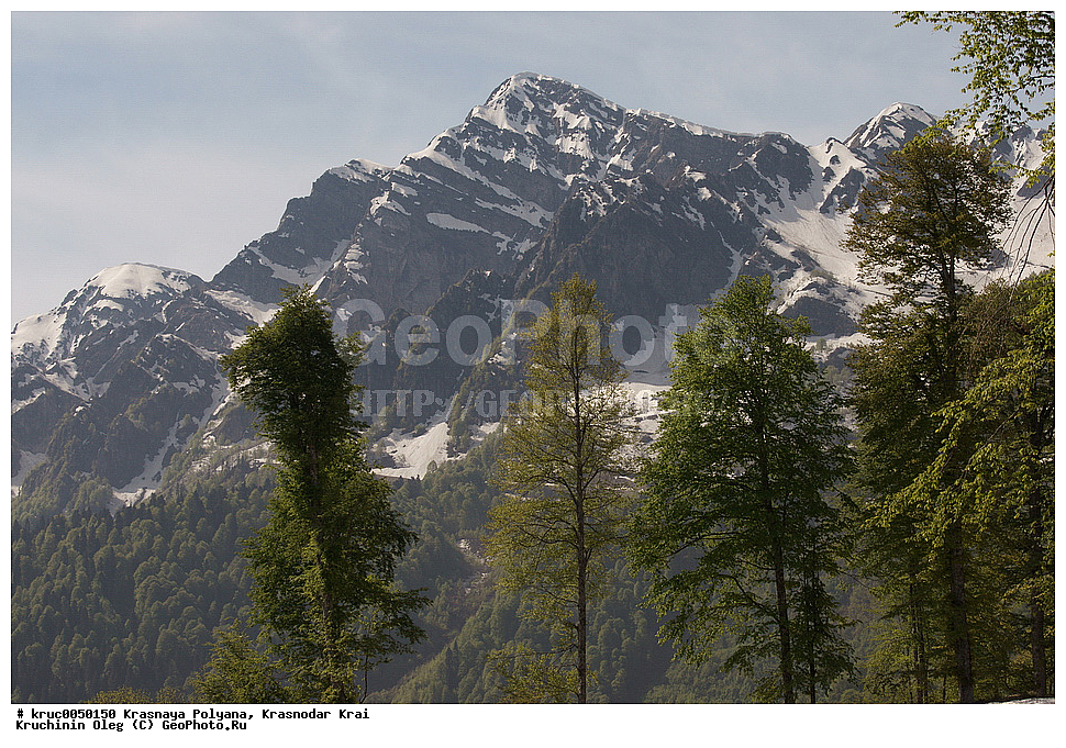 ������, ���������, ���������� ����, �������, �������, ����, �����, ���, ������, ������������� ����, ��������� �����, ����, ������� ������