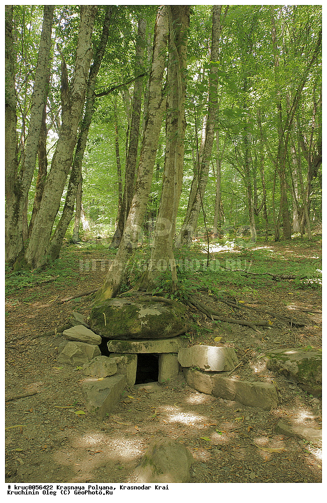 �������, �����, ���, ��������, ���������, ����������, �������, ������, ������������� ����, ��������� �����, ����, ������� ������