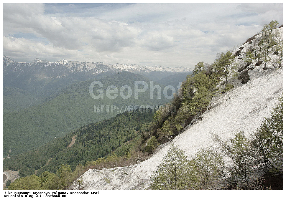 ������, ������ �����, �����, ����, ���, ������, ���������� ����, �������, ������, ����, ������, ������������� ����, ��������� �����, ����, ������� ������